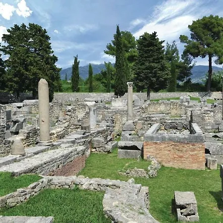 Salona *